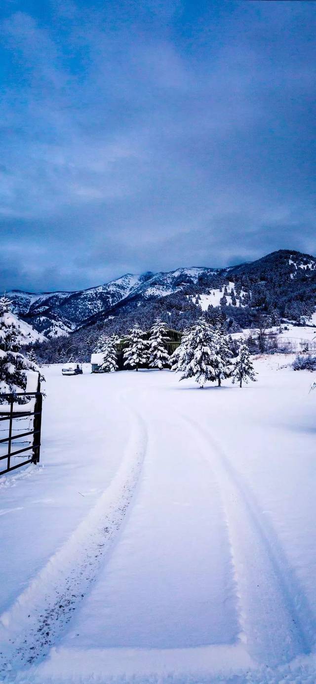 雪景壁纸 | 这北国的白色浪漫,我只分享与你