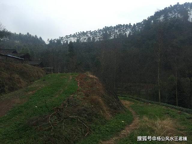 原创风水大师王君植四川成都看风水,考察五品贵樊公祖坟墓地风水