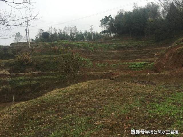 原创风水大师王君植四川成都看风水,考察五品贵樊公祖坟墓地风水