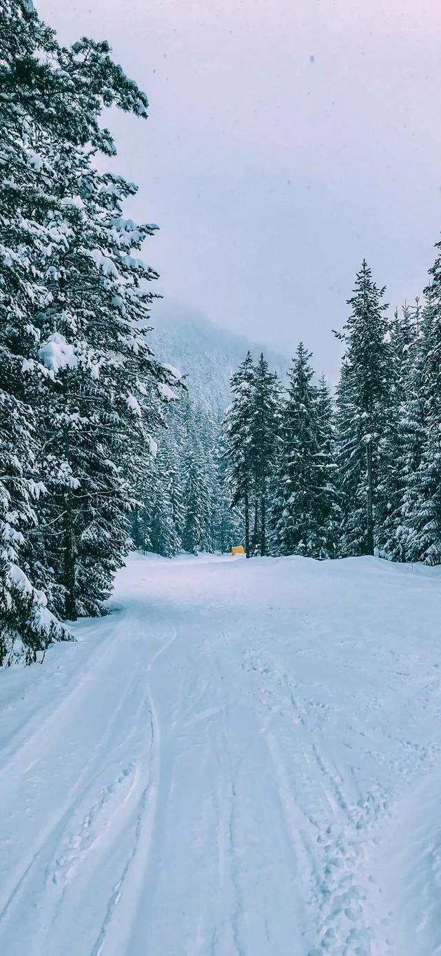 雪景壁纸 | 这北国的白色浪漫,我只分享与你