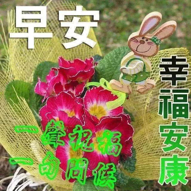 早晨吉祥:牵挂是最无私的思念,祝福是最美好的话语!早晨好