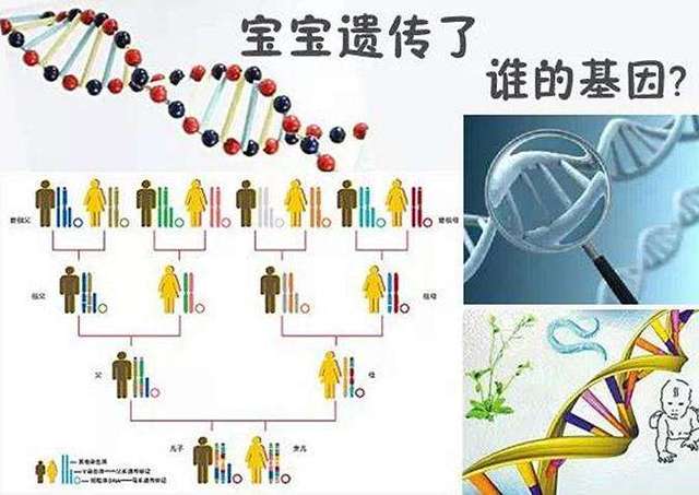 遗传方式有哪些 搜狐网
