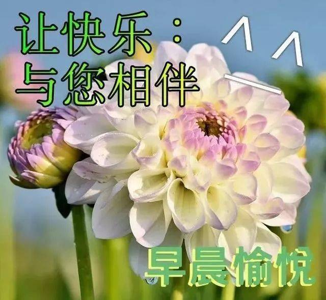 清晨祝福大家早上好问候语短信句子 最美清晨早安祝福