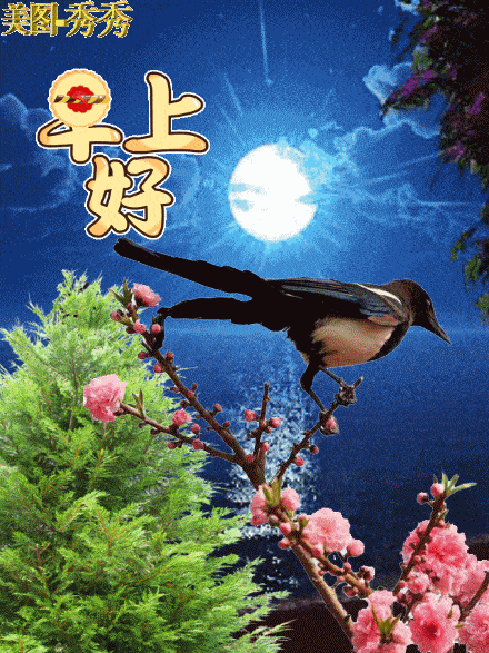 440_587 竖版 竖屏