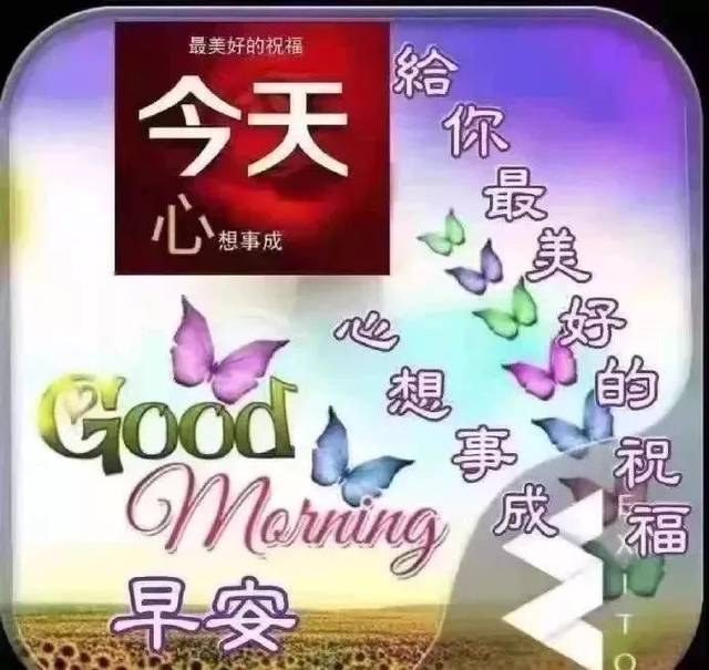 2020朋友圈清早早上好问候图片鲜花带字,早晨美好祝福