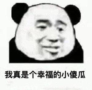 熊猫头傻瓜表情包合集版权