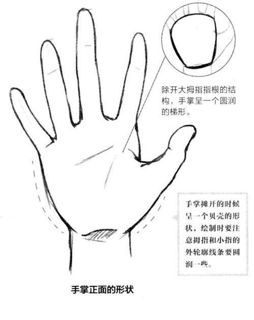 [艺学绘绘画教程]漫画人物手部画教程