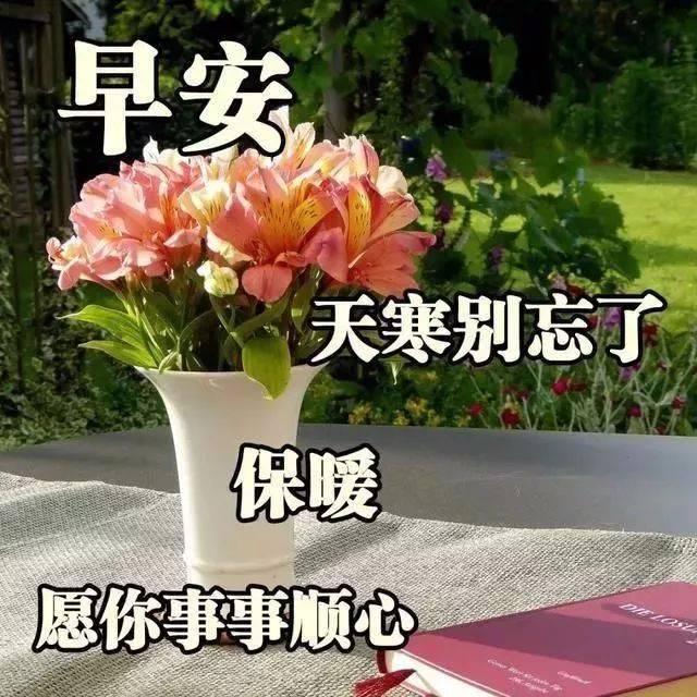 2020朋友圈清早早上好问候图片鲜花带字,早晨美好祝福