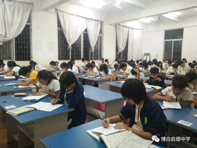 喜报启德初三学子参加博白县竞赛中获佳绩