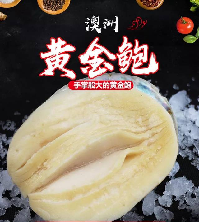 澳洲黄金鲍鱼大鲍鱼300g-400g*2只 急冻锁鲜 产地直供 市场价:118元