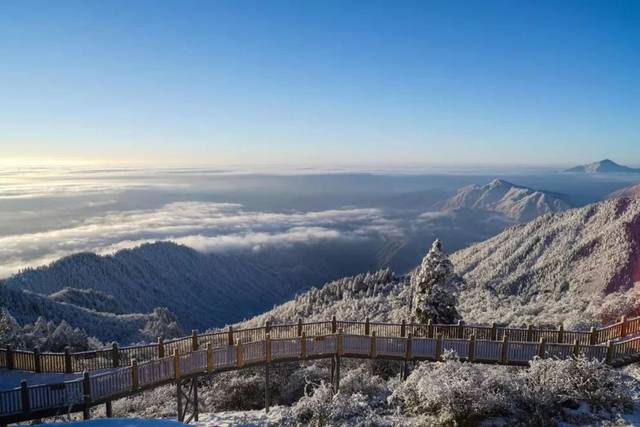 喜讯!西岭雪山荣获四川"年度最受欢迎景区",进军全国总榜!