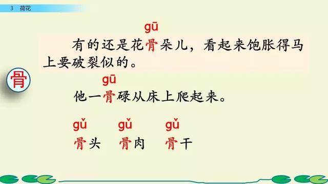 部编版语文三年级下册第3课《荷花》图文讲解