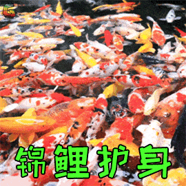 还在心里默默幻想着能好运爆棚,锦鲤附身抽到年会大奖