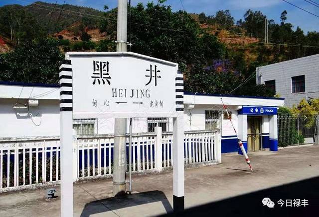 黑井,甸心等车站会恢复客运吗?(附时刻)