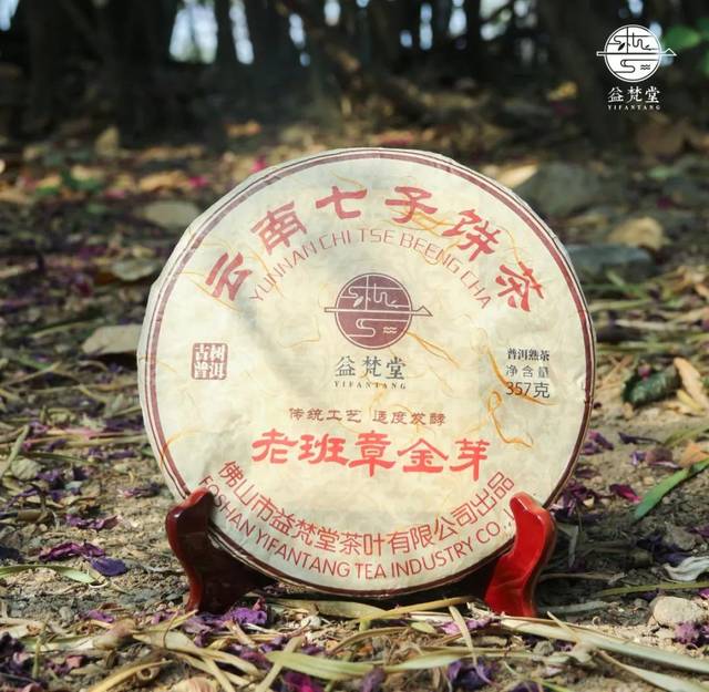 2018年老班章金芽|"茶王"精品,极致华采