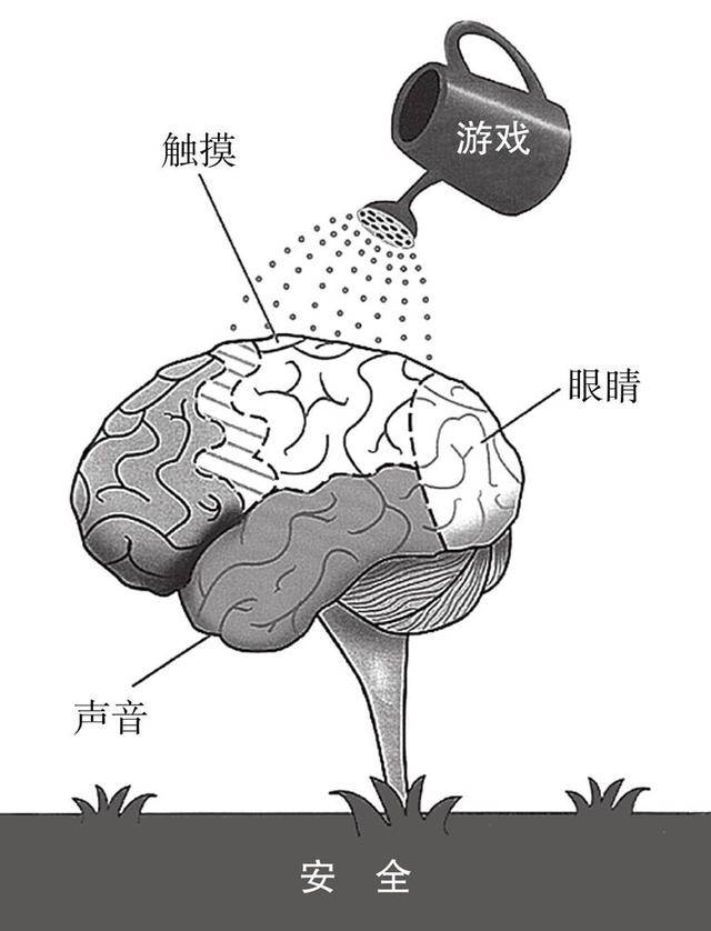 触摸,声音,表情,游戏促进孩子大脑发育 ※亲子联结——塑造大脑结构