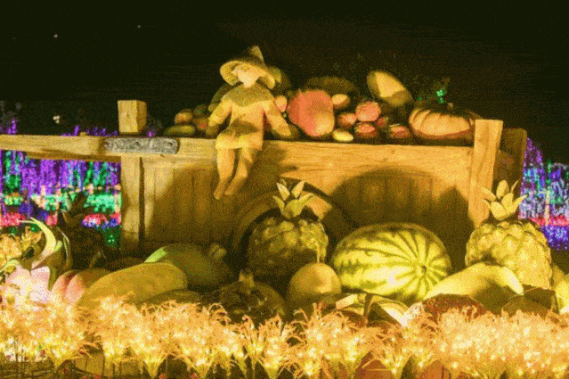 形式 加入led灯光秀呈现出森林之光, 星河滚烫 时光隧道,等梦幻般的