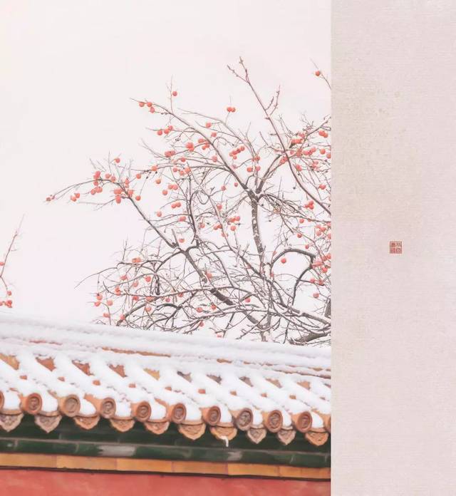 全网爆火的故宫雪景图和猫,是她拍下的.