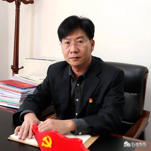 精武镇党委书记刘振河