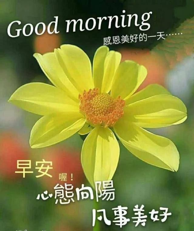 2020早安心语,闲时饮一杯清茶,无关风月,不争名利,早安