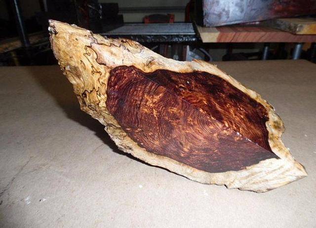巴西黑黄檀