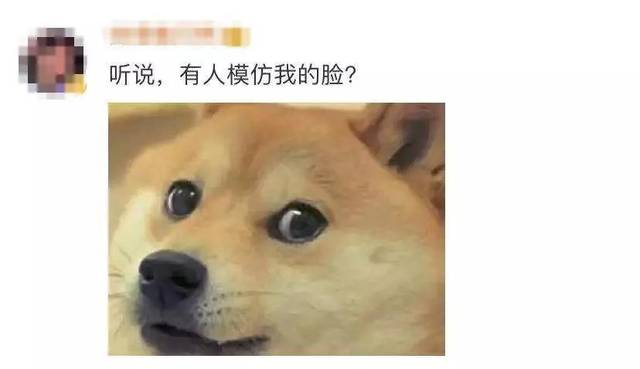 微信新增10款表情包:旺柴,吃瓜上线啦!你的有了吗?