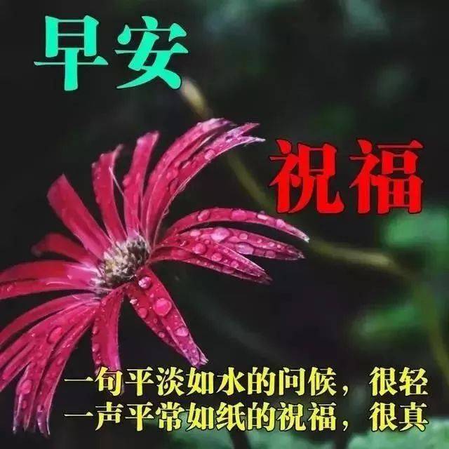 1月15日周三群发早上好问候祝福动态表情图片 2020最美早晨好问候表情