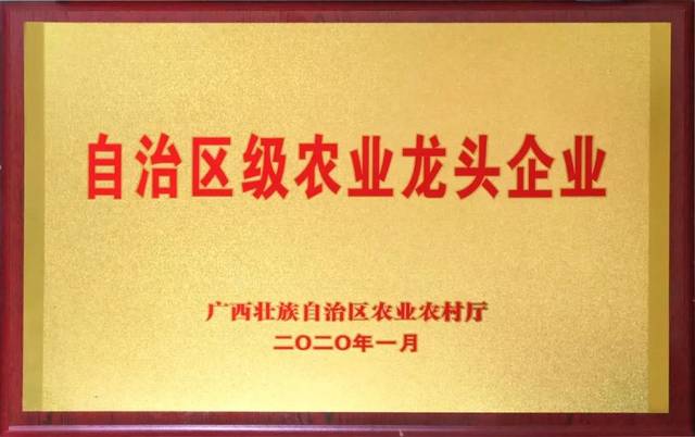 全国最大甘蔗药肥生产企业上榜自治区农业龙头企业