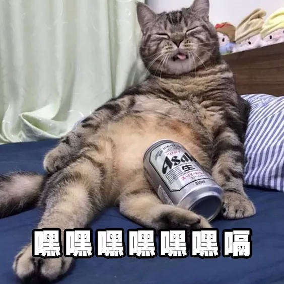 猫猫喝酒表情包