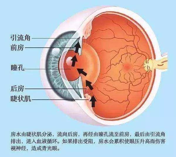 闭上眼,摸摸眼球,是时候初步预估下自己的眼压了