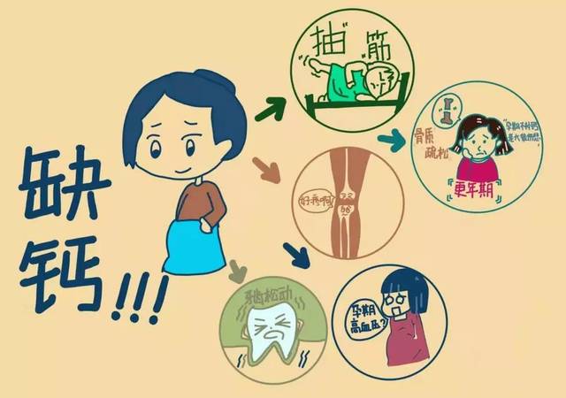 三个真相 | 喝骨头汤真的补钙吗?