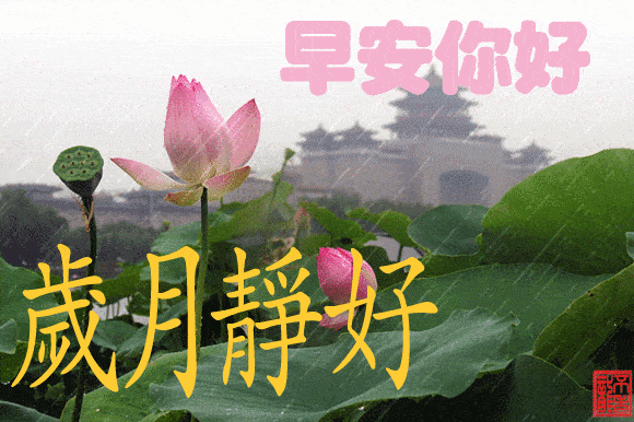 问候永远不嫌晚,真诚是我们最好的祝福,早上好