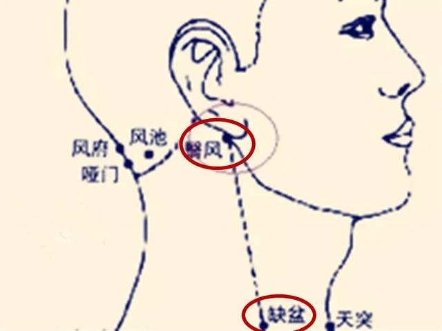 脖子上有一条大筋,捏一捏至少可调37种疾病