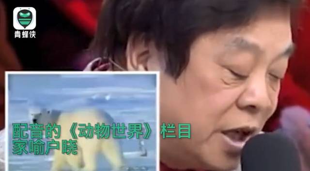 赵忠祥老师走了,再也听不到他解说的动物世界了.