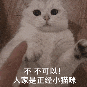 300_300gif 动态图 动图
