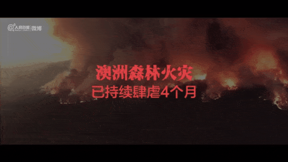这种行动迟缓,性情温驯的动物,就是这场灾难中被伤害最大的动物种族之