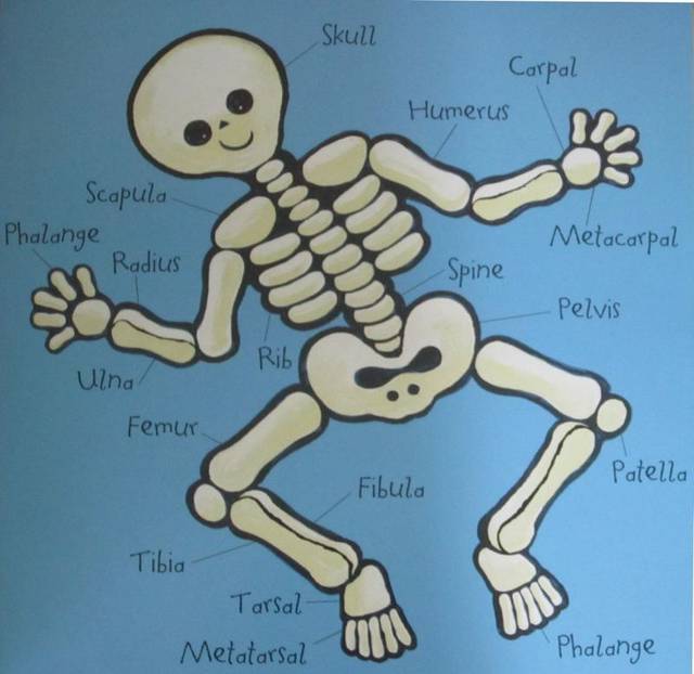 dem bones,dem bones