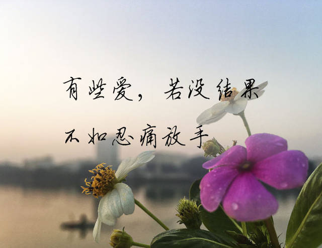 这一次我真的要离开你了,一别两宽,各自安好