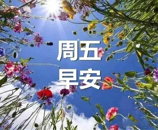 鼠年早上好图片祝福语 2020早上好问候语表情大全微信