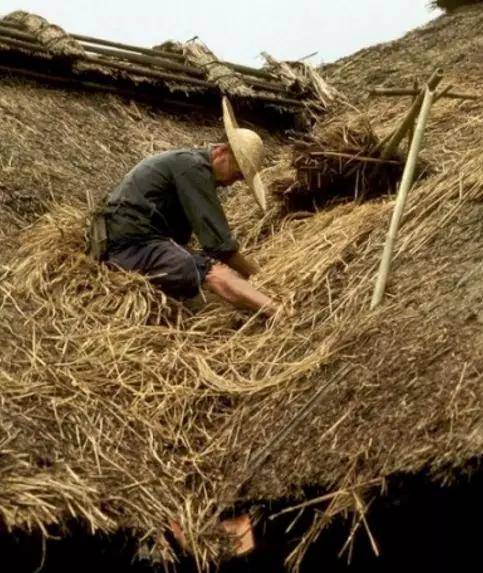 一个农民正在修屋顶,这种草屋经常要修,不然下雨了就很容易会漏水.