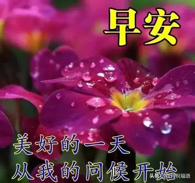 2020年早上好问候语图片 早晨好祝福语简单句子