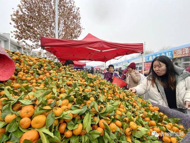 青州13个镇,街,开发区过年赶大集时间表.