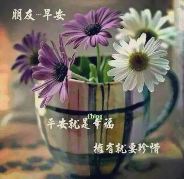 很漂亮的早安问候祝福动态图片带字,清晨微信问候暖心