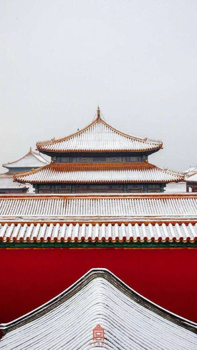 故宫新网红露小宝,你还好吗