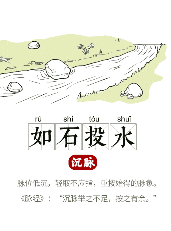 (9个动图让你秒懂脉象)