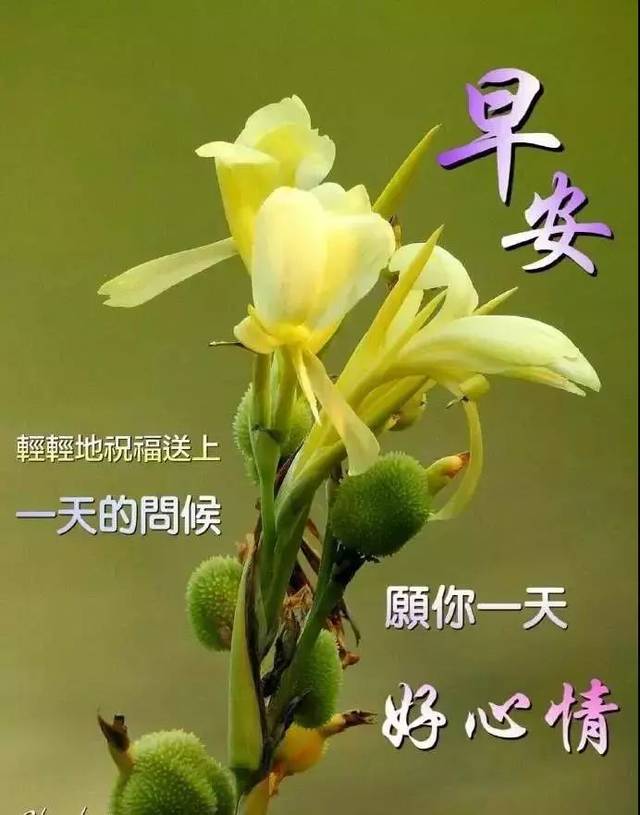 2020最棒早安问候祝福语动画表情动态图片,早安问候语