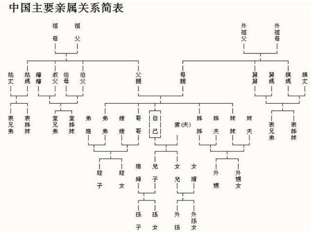 七大姑八大姨怎么称呼?详细中国亲戚关系图表,拜年用得上