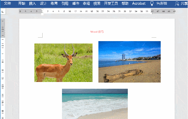 3,图片显示不全