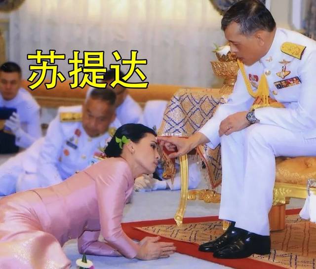 苏提达在泰王身后大意了叩拜用错姿势发现后赶紧双膝扑通跪地