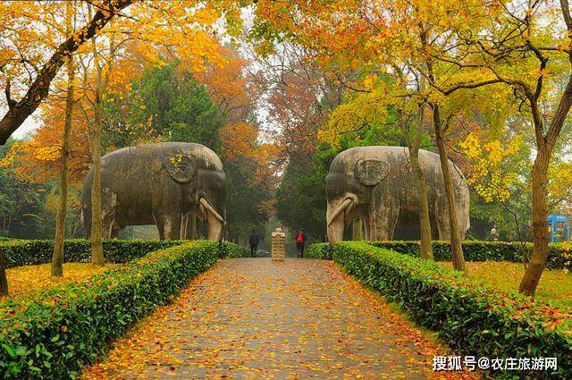 南京旅游别总去夫子庙,这5个景点更值得一去,你都去过吗?